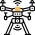 blank